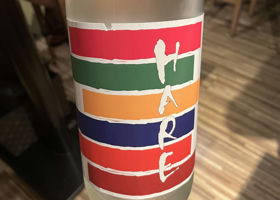alt 1