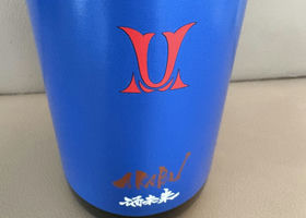 alt 1