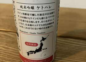 alt 2
