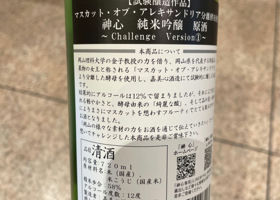 alt 3