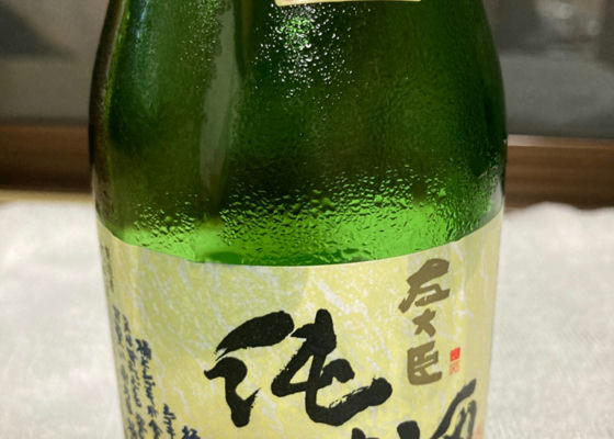 alt 1