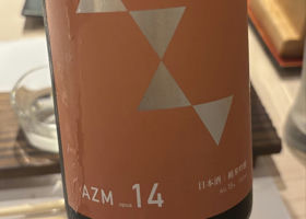 alt 1