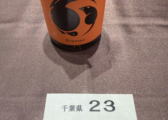 alt 1