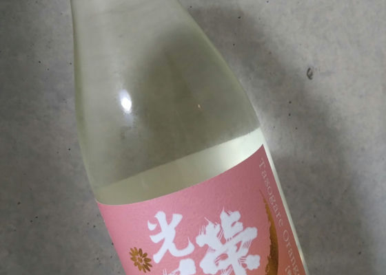 光栄菊