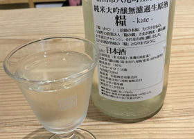 alt 3