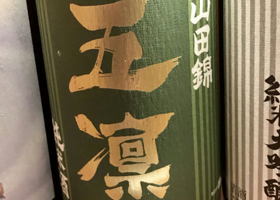 alt 1