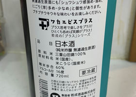 alt 2