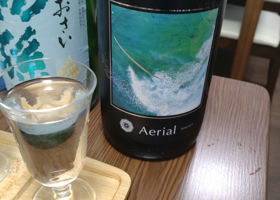 alt 1