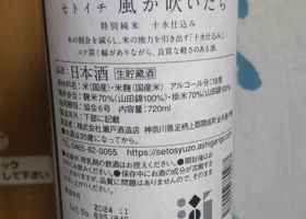 alt 3