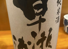 alt 1