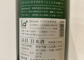 alt 2