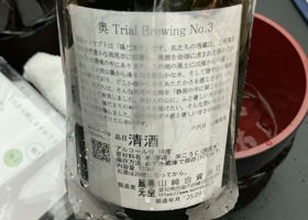 alt 3