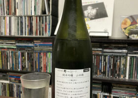 alt 2