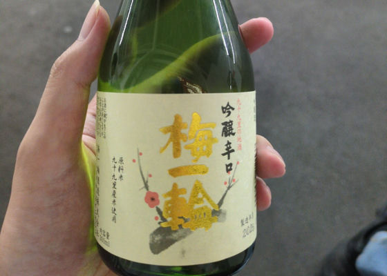 梅一輪 チェックイン 1
