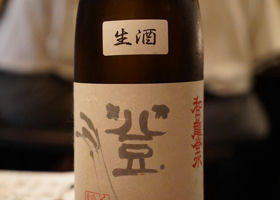 alt 1