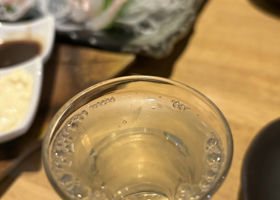 alt 4