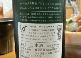 alt 3