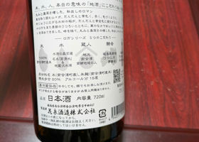 alt 3