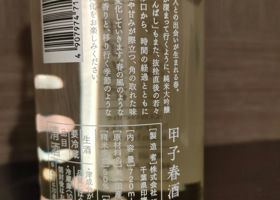 alt 3