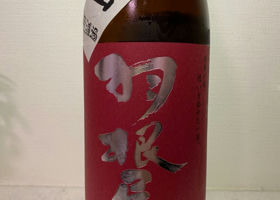 alt 3
