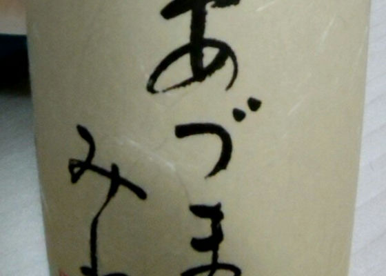 alt 1