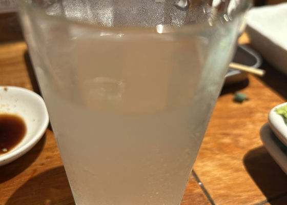 alt 1