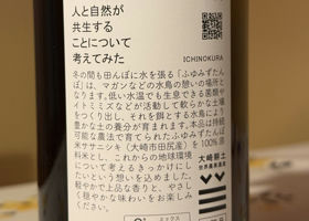 alt 3