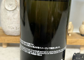 alt 1