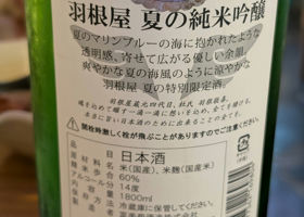 alt 2