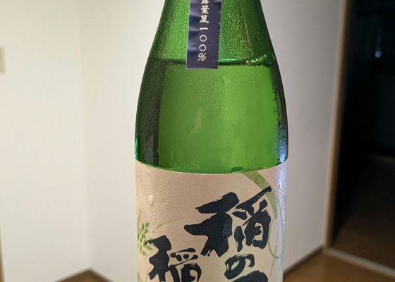 稲の国の稲の酒 チェックイン 1