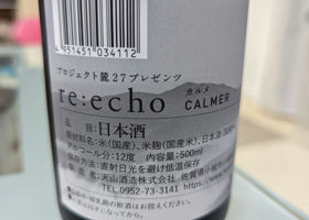 re:echo チェックイン 2