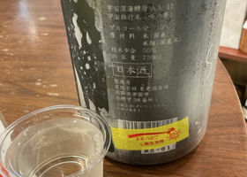 alt 4