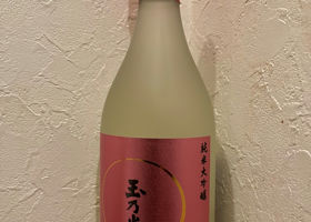 alt 3