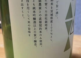 alt 3