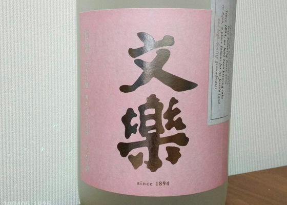 alt 1