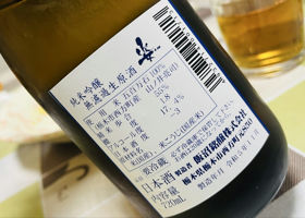 alt 4