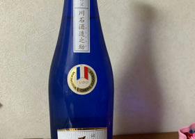 alt 1