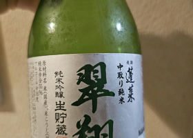 alt 1
