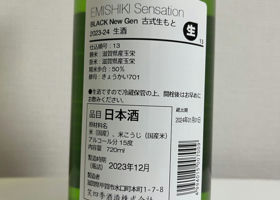 alt 3
