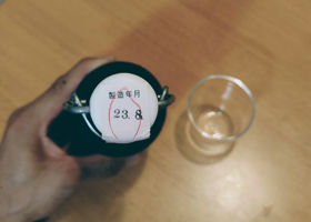 alt 4
