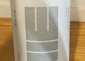 alt 1