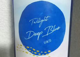 Twilight Deep Blue GINJO Check-in 1
