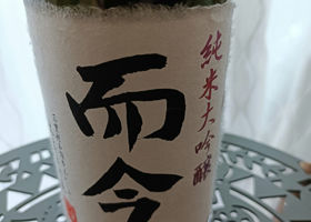 alt 1