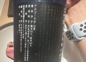 alt 3