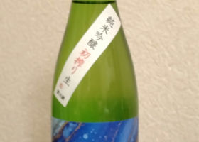 alt 3