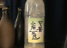 alt 1