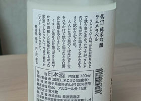 alt 3