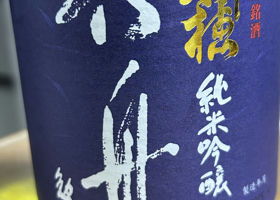 alt 1