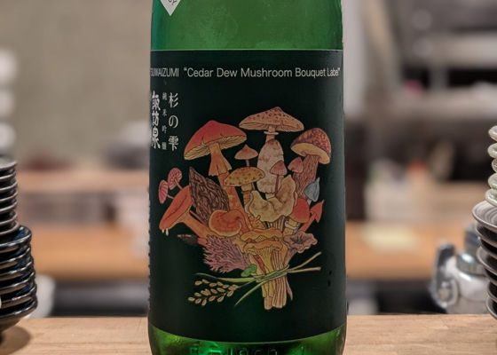 諏訪泉 チェックイン 1