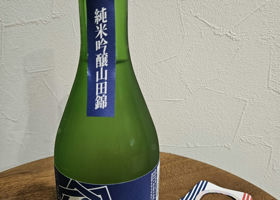alt 1